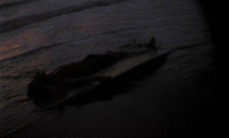 Man with surfboard stranded on the beach
