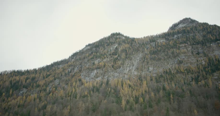A scenery of a hill summit