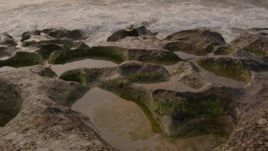 Surf washes up toward tidal pools