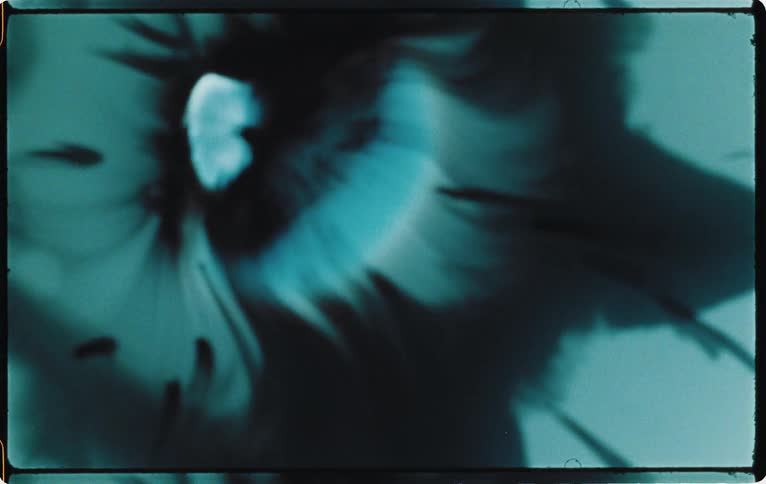 In an abstract setting spot of dark liquid is suspended within a green liquid environment then suddenly spreads out and diffuses