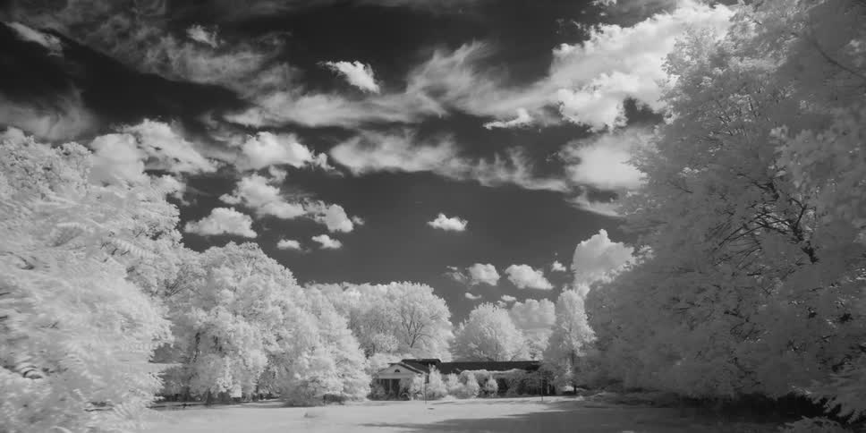 Frost covers trees on a cloudy day