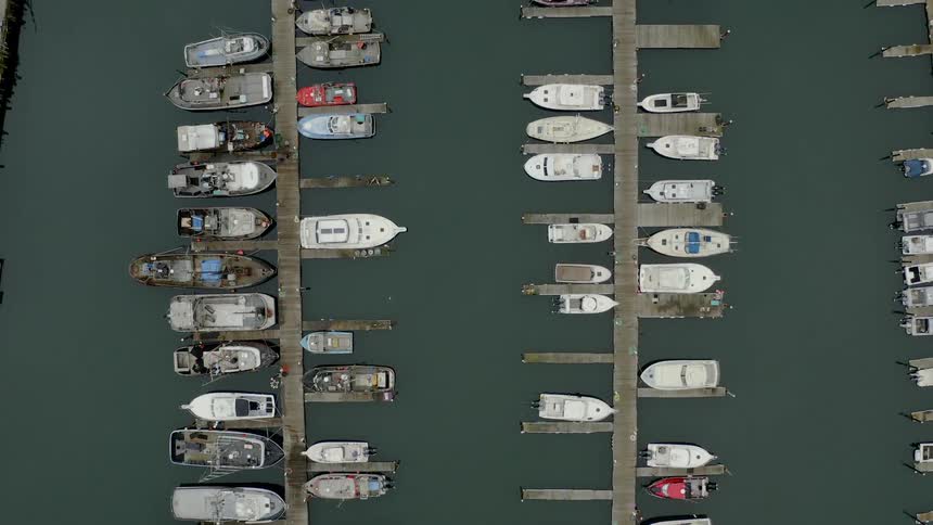 Rows of speed boats docked in the marina