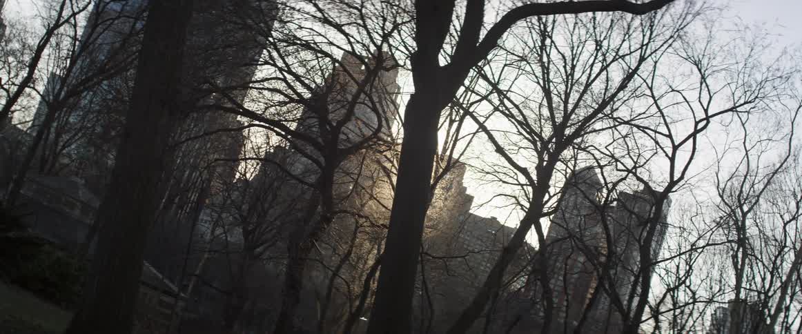 Buildings in a city as seen through trees