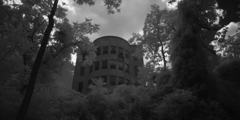 Mysterious building hidden in forest