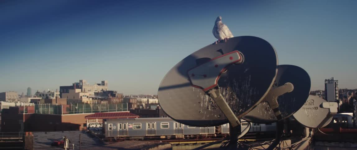 A pigeon sits on one of several tv dishes on top of a building in an urban environment