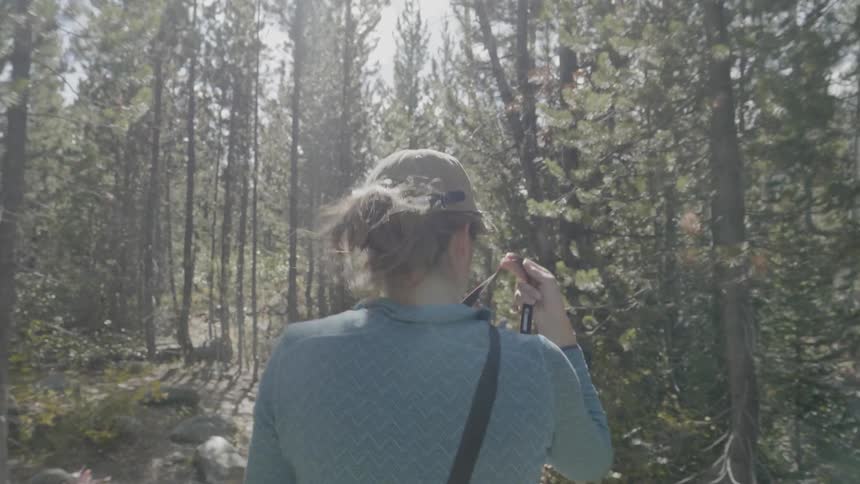 A woman walks through a forest