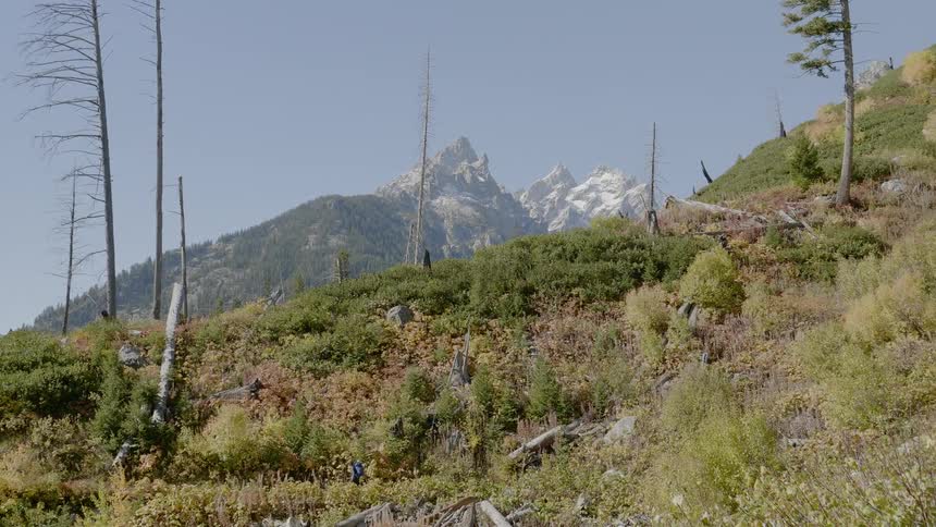 A person hikes a long a path