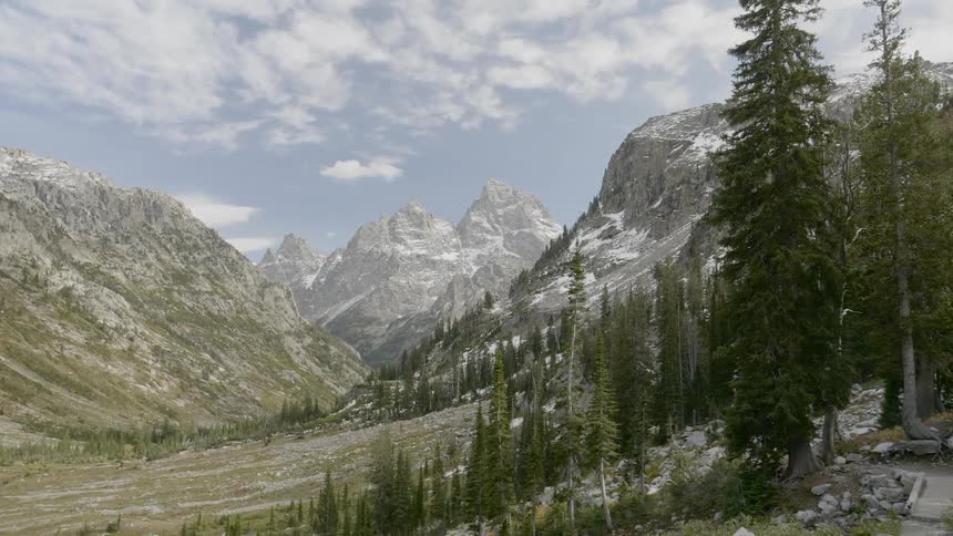 Tall mountain range with pine forest at day