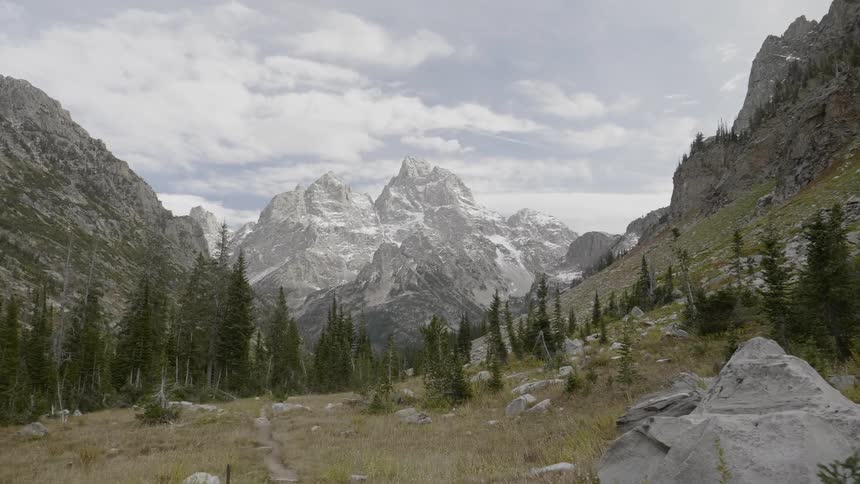 Mountain range with pine forest at day