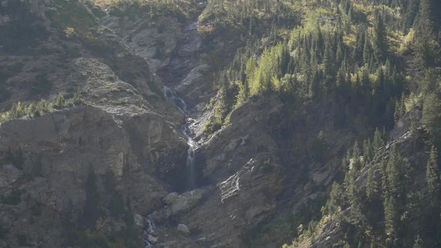 Water flows through a ravine in a mountain with evergreen trees growing on either side of it