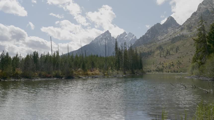A lake with trees and mountains in the background