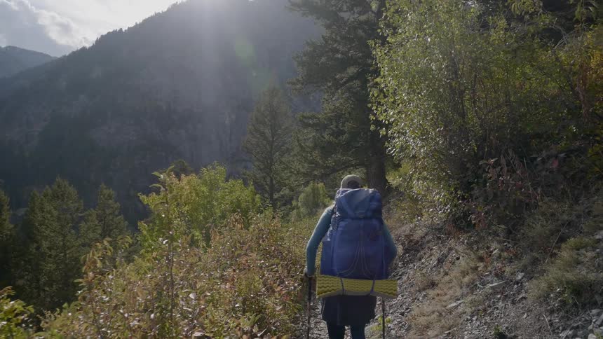 Man with backpack hiking through pine forest on mountains