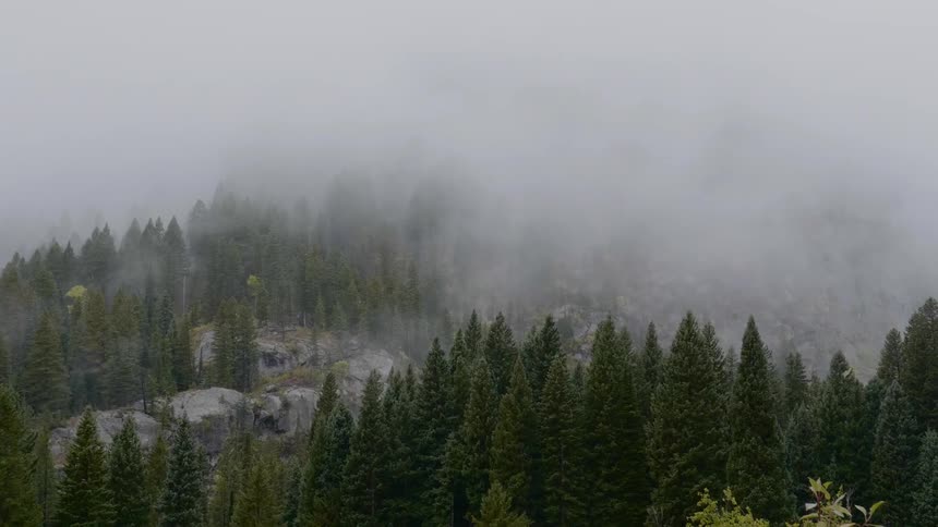 Thick fog covers the mountain top and forest