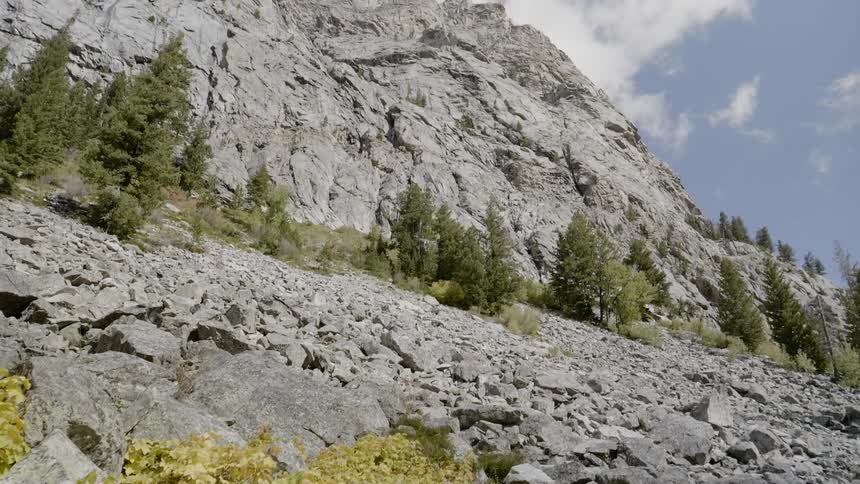 A rock face rises above a talus field