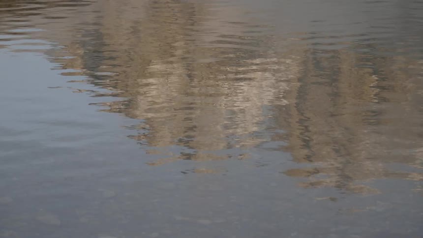 The surface of the water ripples and shimmers as it reflects the surroundings on a sunny day