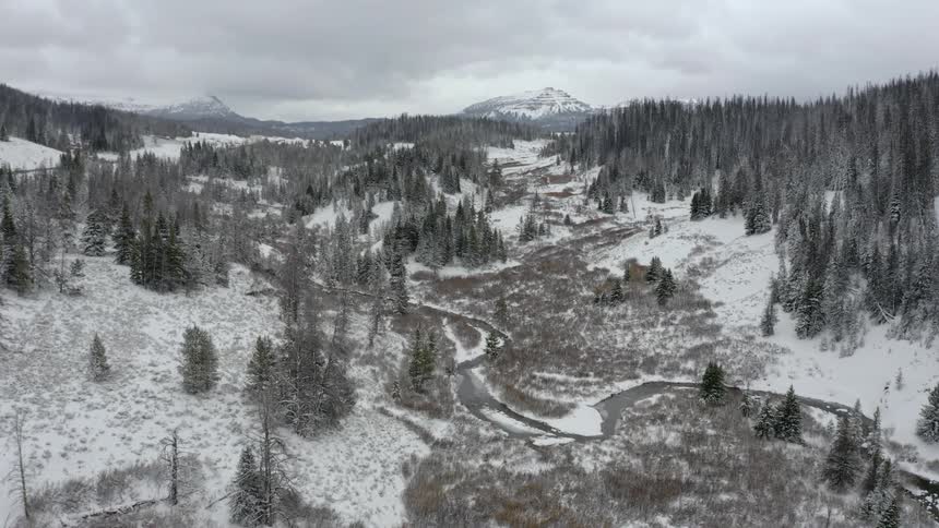 The stream runs down the hill covered in snow