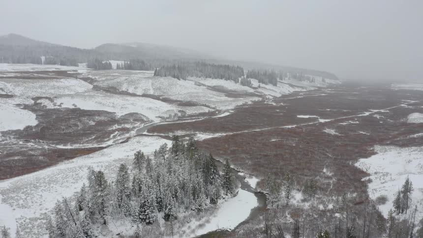 The snow covered trees and land sits under a cloudy sky