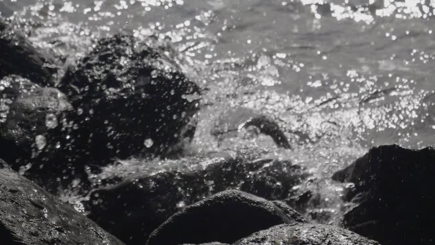 Waves crash against rocks