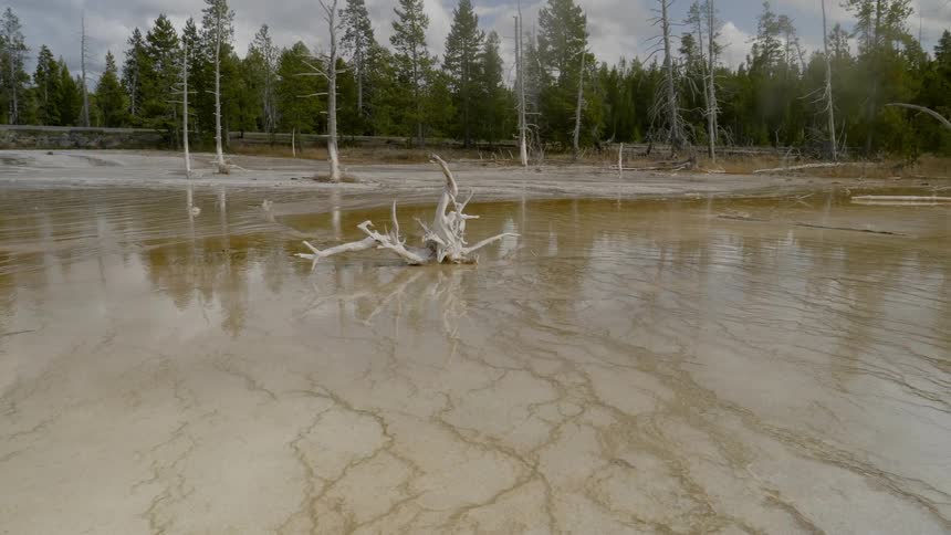 Steam from a hot spring floats over shallow water with cracked mud and dirt