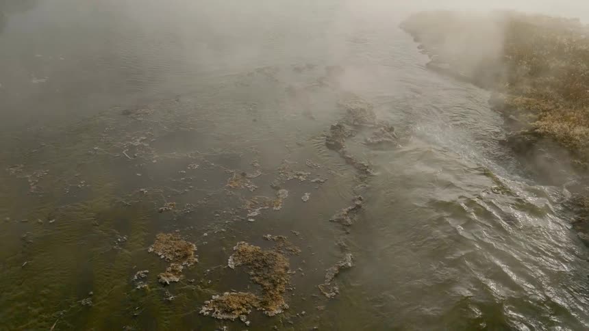 Water flows along in a stream that has grass on its banks and is shrouded in thick fog