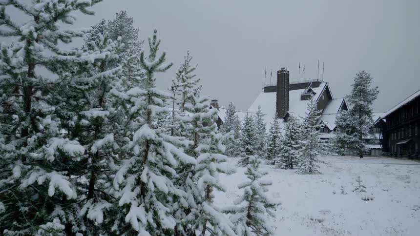 Hotel on pine tree forest covered in snow