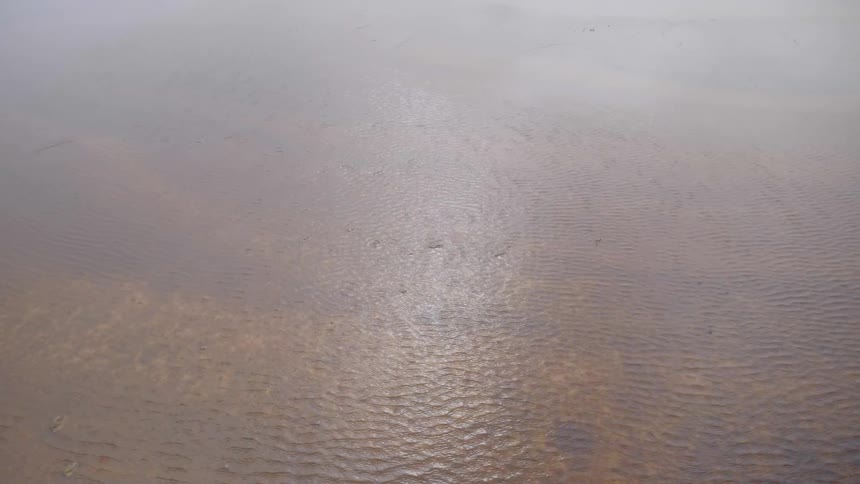 Ripples move across a body of water