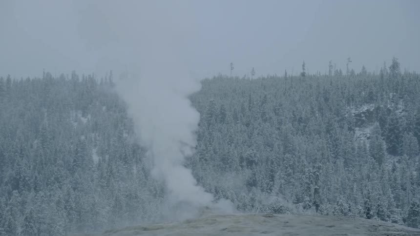 A geyser at wintertime with snow covered trees in the background