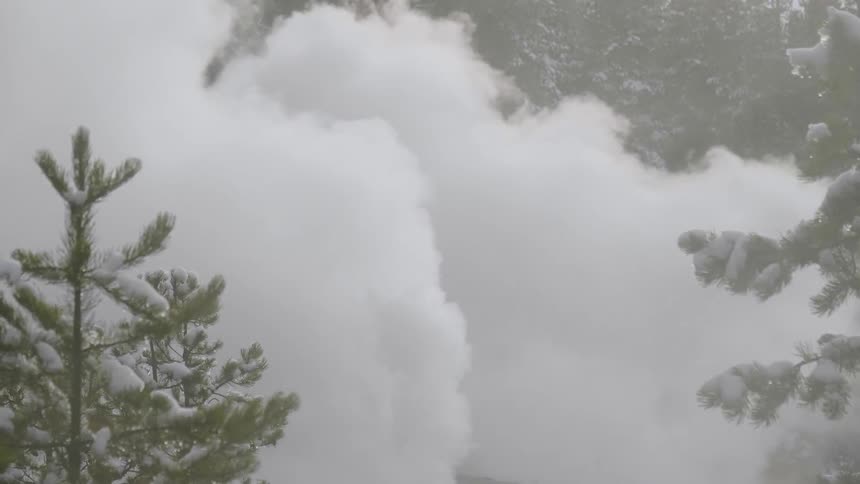 Steam boils up in a snowy forest