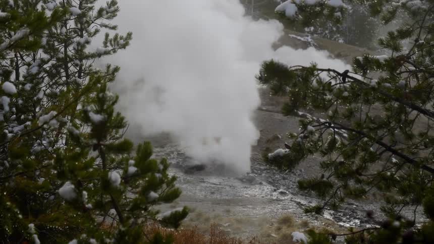 Hot spring spewing steam in forest