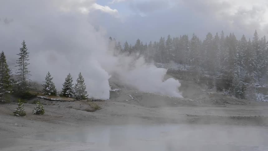Smoke billows from the ground in a frosty pine forest on the tundra