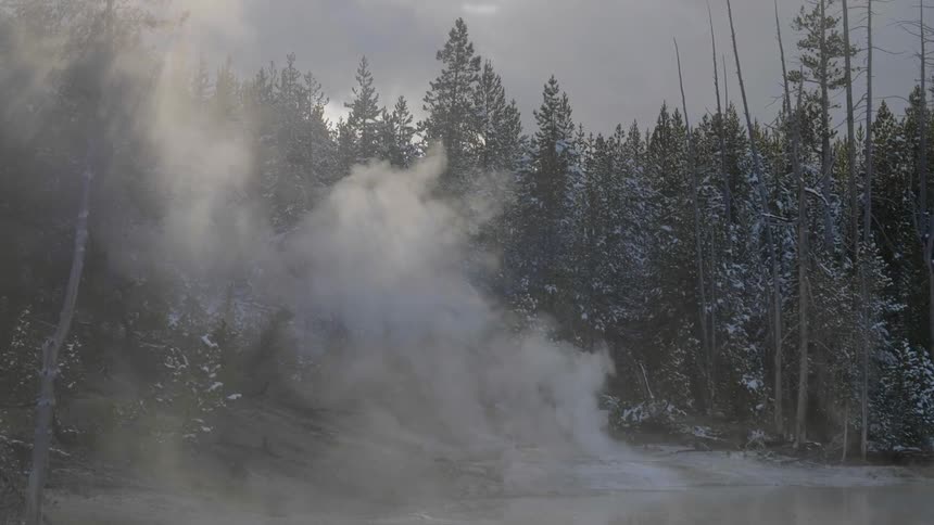 The steam is rising from the spring near the forest