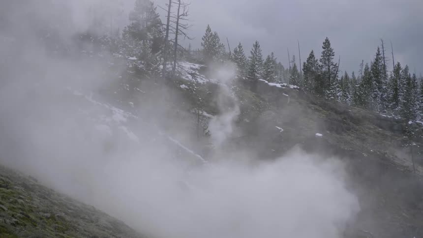 Fog blows up the side of a mountain covered in evergreen trees