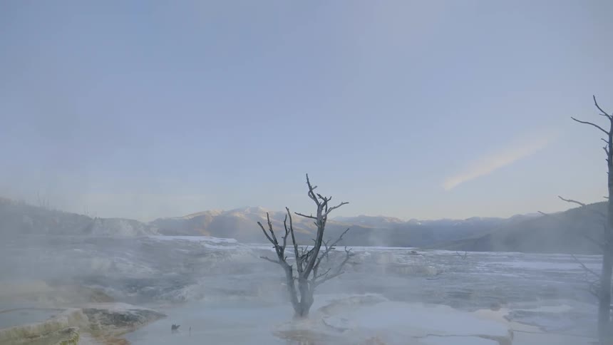 Dead trees stand in the mist in a mountain range