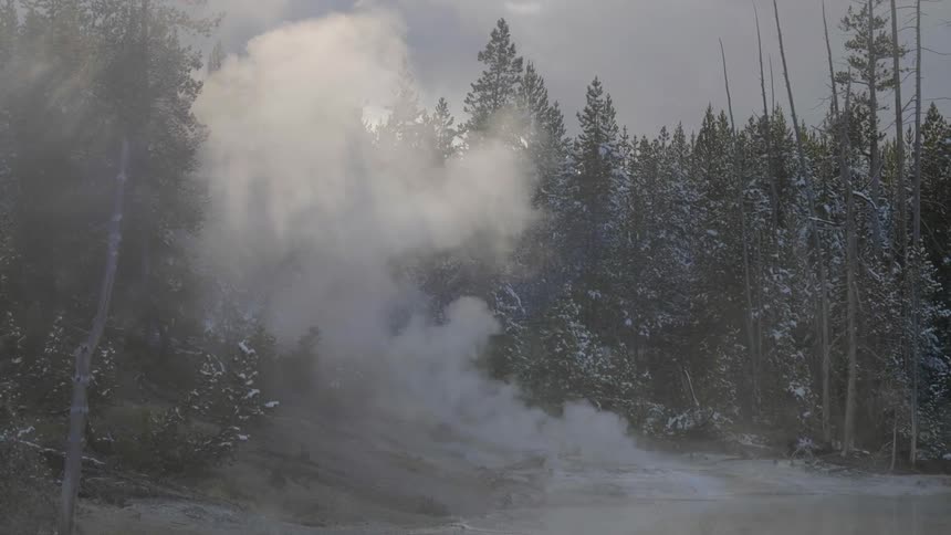 Steam rises up off a hot spring to the snow dusted trees