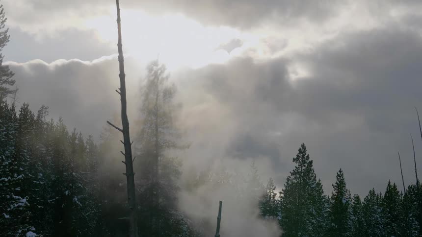 Smoke pours into the sky