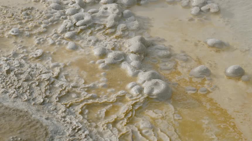 Mineral deposits protrude from the surface of a shallow edge of a natural hot spring where they form small domes