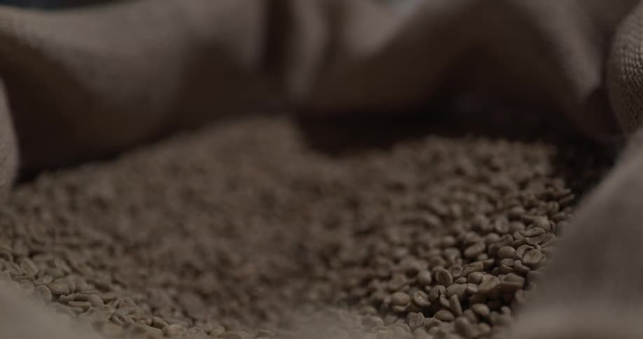 Coffee beans being scooped up with metal scoop from burlap sack