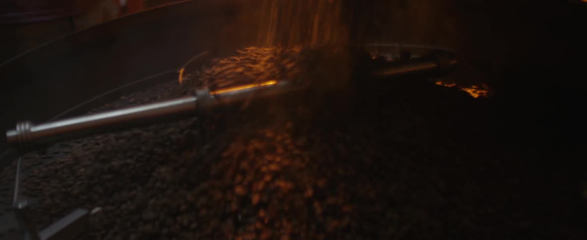 A person dumps coffee beans into a large machine