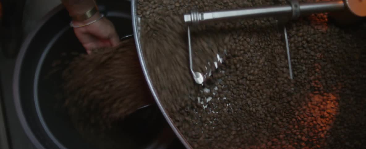Beans are being stirred in a machine and a man puts a bunch in his hand