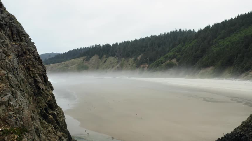 Coastal bay landscape beach on which seagulls walk and rocks