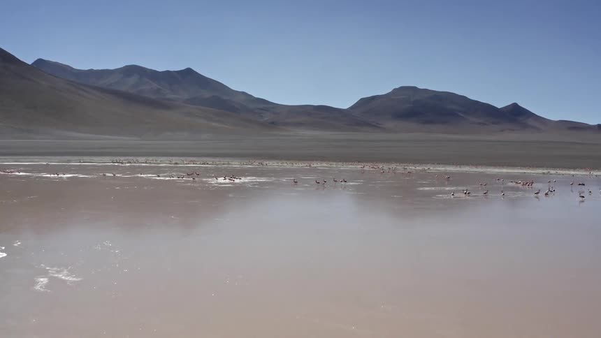 Landscape view of birds on the shoreline