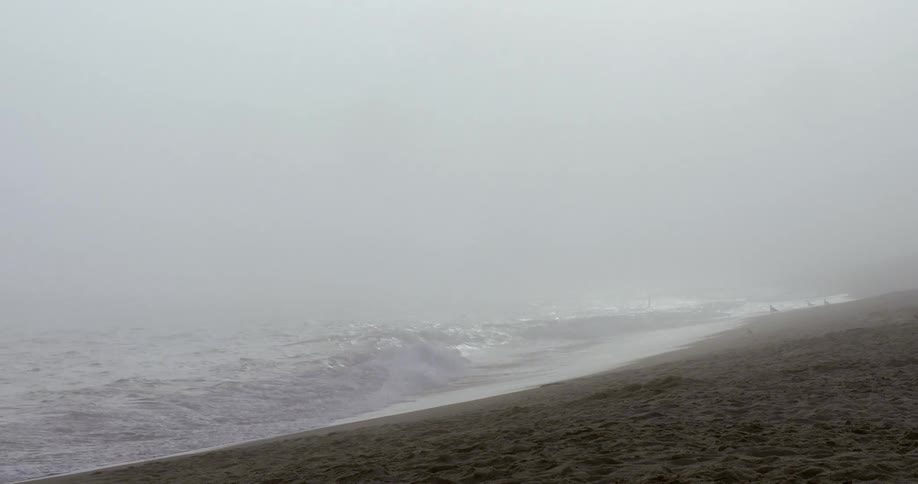 Waves roll into a sandy beach