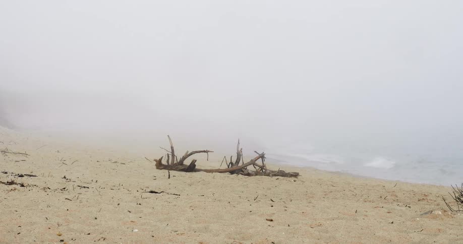 Waves are moving towards the beach coastline