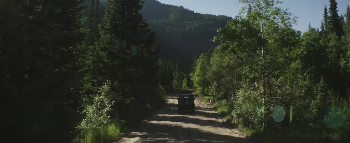 Jeeps traveling fast on a dirt road surrounded by pines