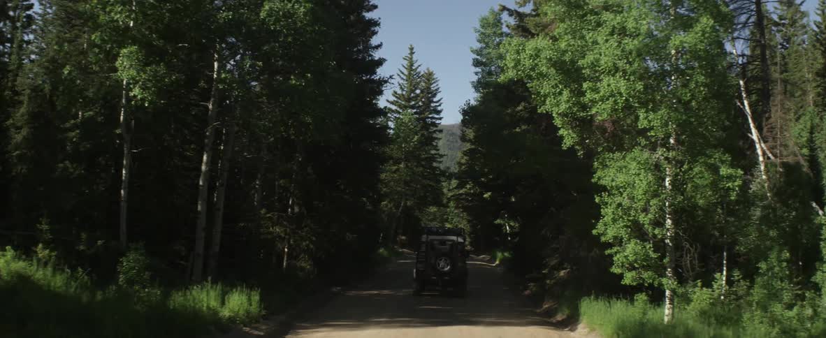 A car drives down a wooded path