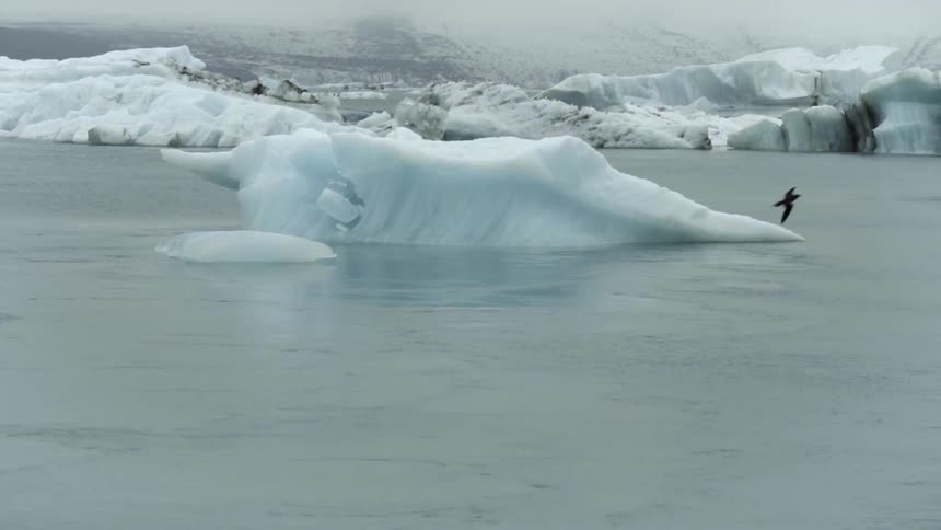 Icebergs floating in the ocean