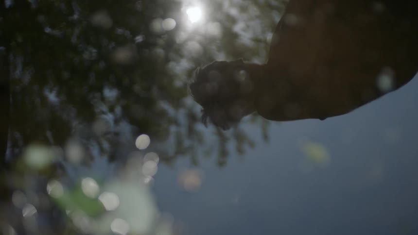 A man stands in a park with his head bowed