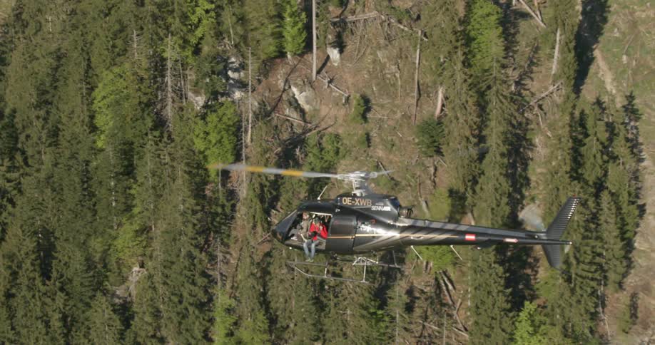A helicopter flying over an evergreen forest with a man sitting at its open door behind the pilots