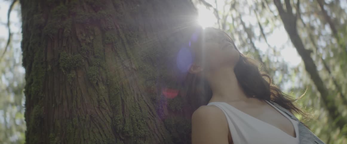 Woman leans against tree in the woods while the sun shines through trees