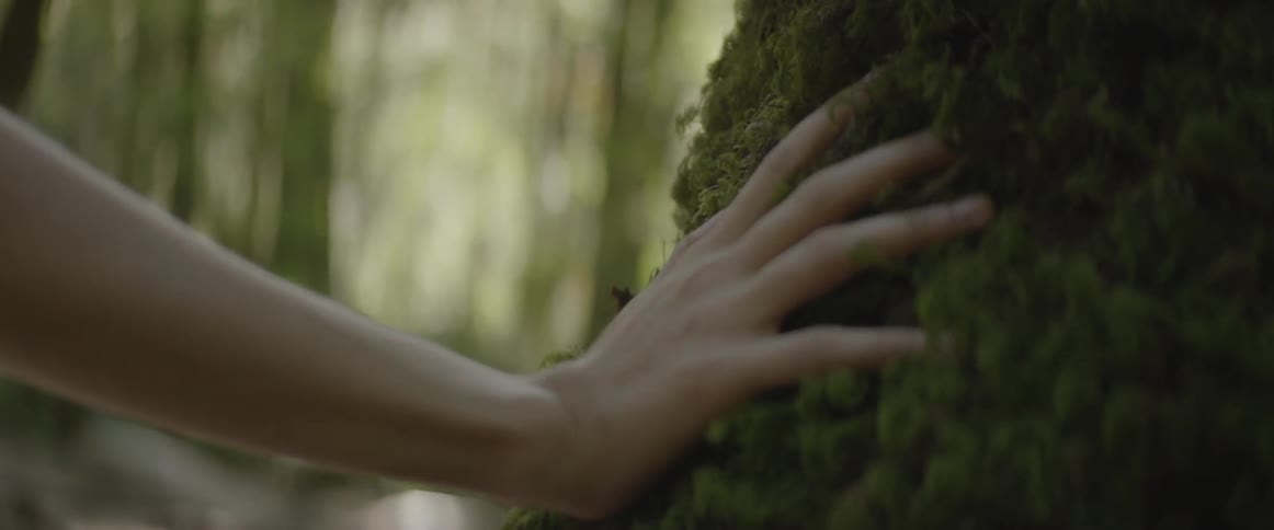 A white woman puts her hand on a moss covered tree trunk
